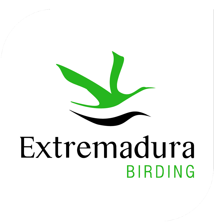 Extremadura-birding-900
